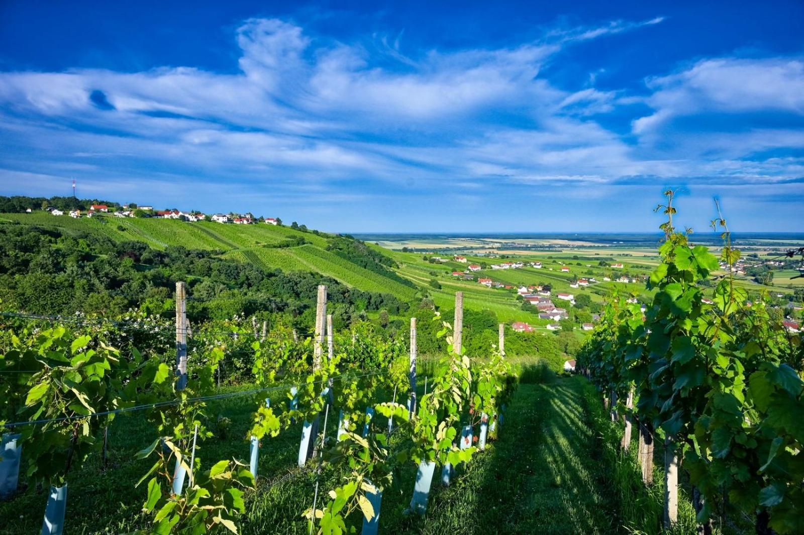Eisenberg an der Pinka Kellerstoeckl Am Berg 빌라 외부 사진