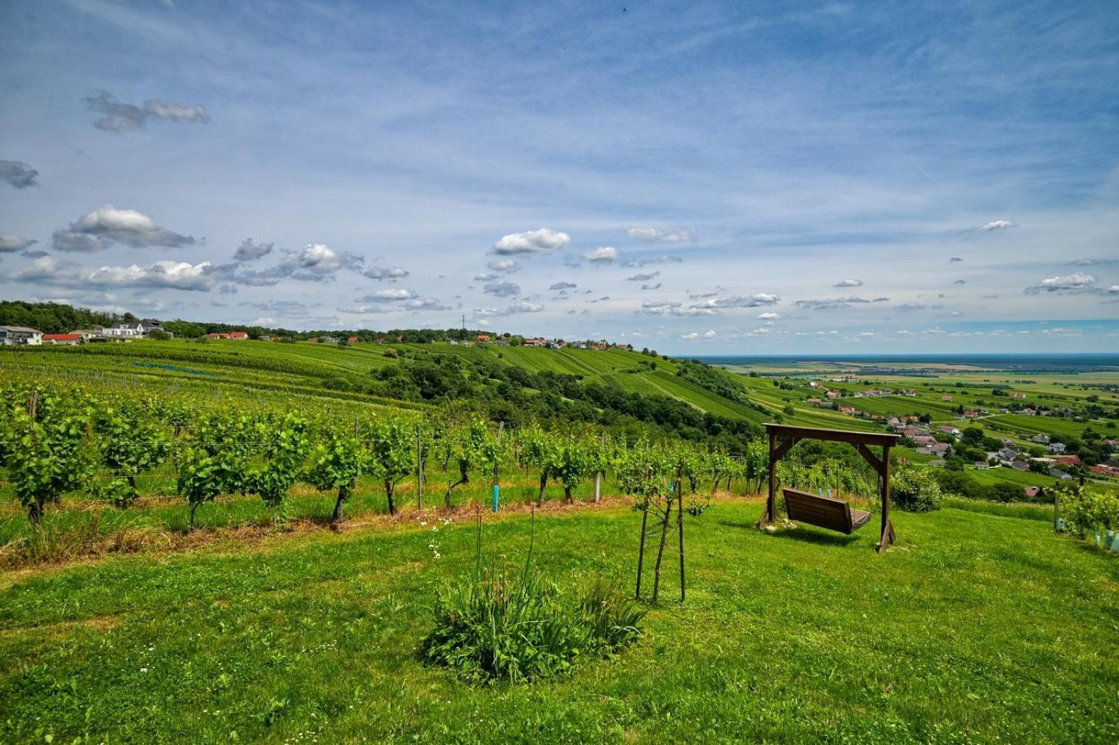 Eisenberg an der Pinka Kellerstoeckl Am Berg 빌라 외부 사진